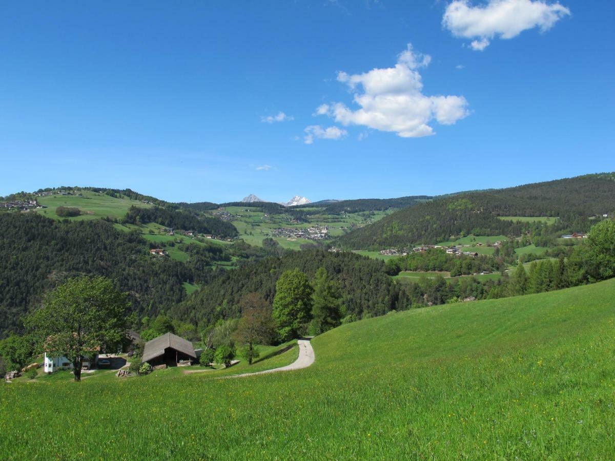 Gasserhof Chalets เมลตินา ภายนอก รูปภาพ