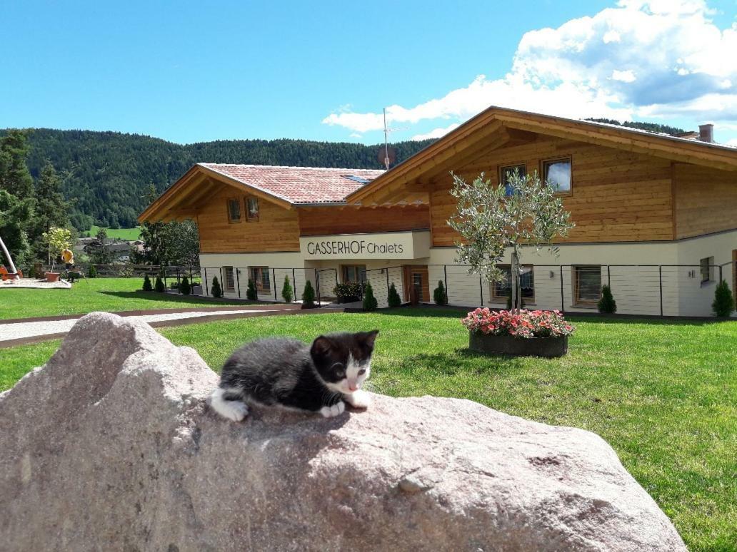 Gasserhof Chalets เมลตินา ภายนอก รูปภาพ